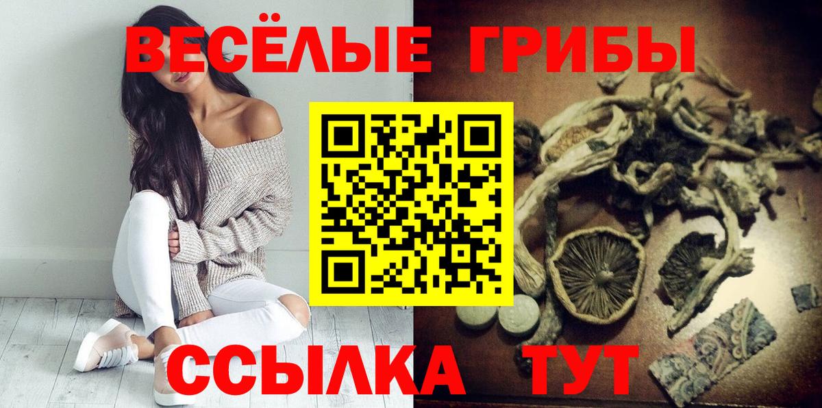 Красноярск  Галлюциногенные грибы Psilocybine cubensis  Вход с VPN  Галлюциногенные грибы мицелий 