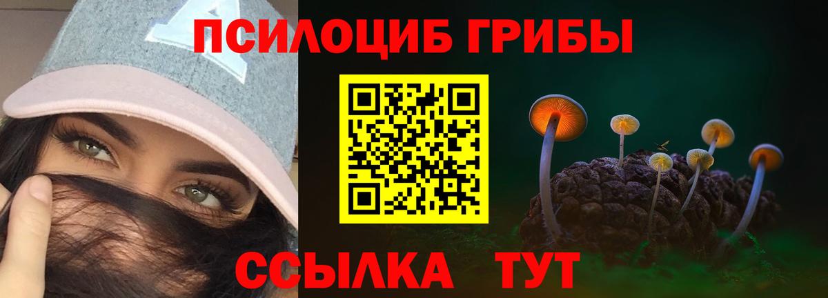 Псилоцибиновые грибы Psilocybine cubensis Красноярск