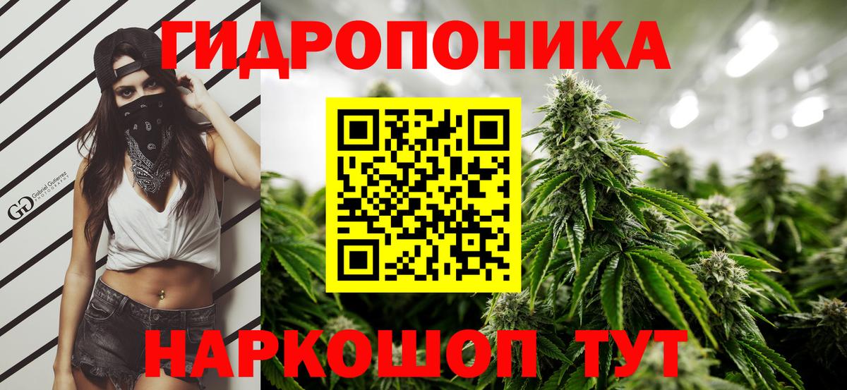 Шишки марихуана индика  Бошки марихуана Ganja  Красноярск  Вход с VPN  Конопля Ganja 